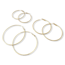 Load image into Gallery viewer, Hoops