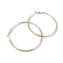 Load image into Gallery viewer, Hoops