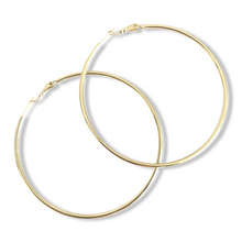 Load image into Gallery viewer, Hoops
