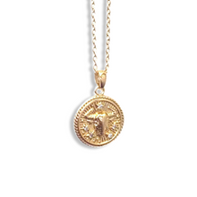 Load image into Gallery viewer, Zodiac Necklace 18"
